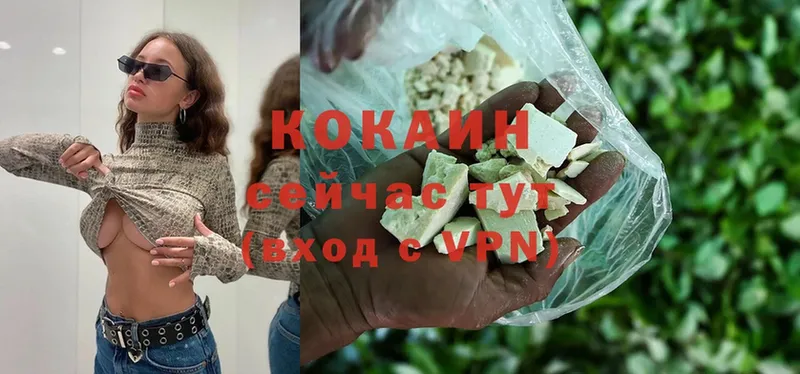 купить наркотик  Весьегонск  Cocaine Боливия 